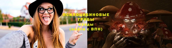 а пвп мука Абаза