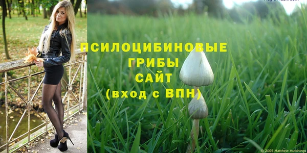 a pvp Абинск